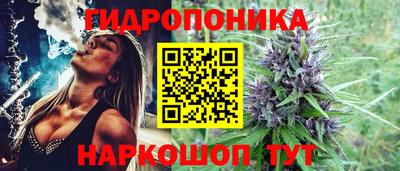 тгк Абакан