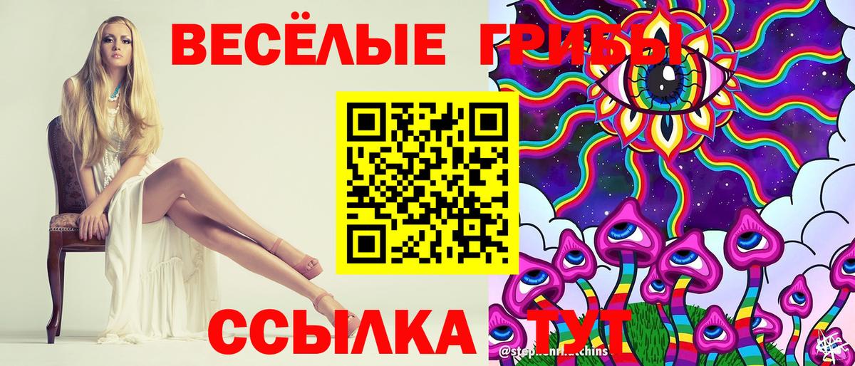 Азнакаево  Псилоцибиновые грибы мицелий  Вход с VPN  Галлюциногенные грибы Magic Shrooms 